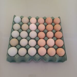 Ovos Caipiras Campinata (Bandeja com 30 ovos Grandes)